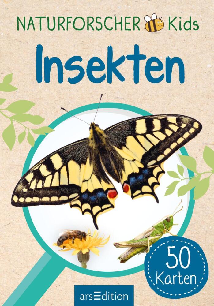 8. Bild von Naturforscher-Kids - Insekten